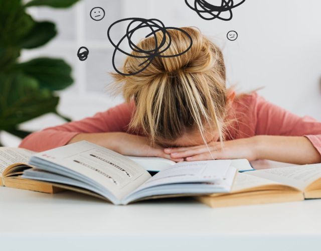 coaching pour réaliser un business plan de qualité professionnelle